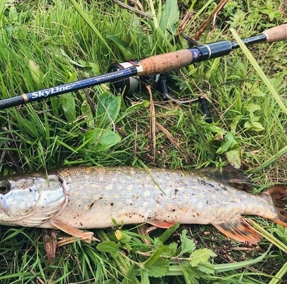 Спінінг Favorite Skyline TZ NEW SKYTZ-862ML 2.58m 5-18g Ex.Fast (1693.04.38)