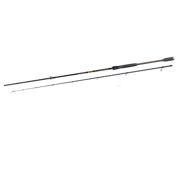 Спінінг Fishing Roi Bastion 2.40m 7-32g (608-802-732)