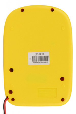 Електричний насоc Parsun (Genovo) GP-80D