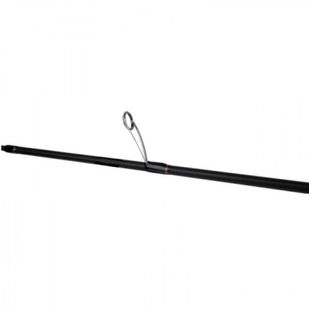 Спінінг Favorite Professional NEW PRF-762H 2.30m 10-38g (1693.05.18)