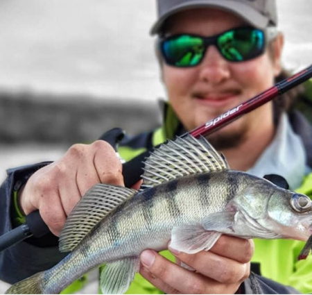 Спінінг Zemex Spider Z-10 762UL 1-6 g (8806066101482)