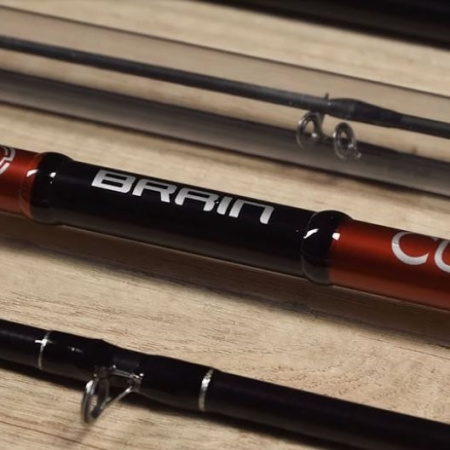 Фідер Brain Classic