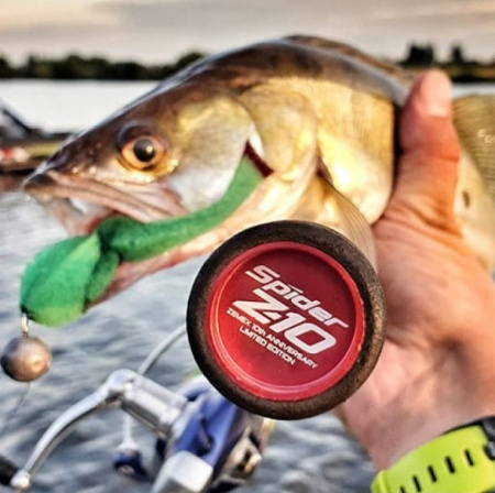 Спінінг Zemex Spider Z-10 732UH 16-80 g (8806066101475)