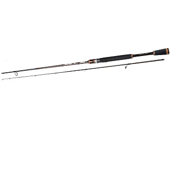 Спінінг Fishing Roi Fantom 2.52m 8-30g (24-830-252)