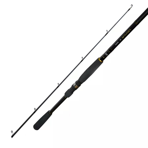 Спінінг Daiwa Legalis Jig 762MFS 2.29m 10-40g (11017-05)