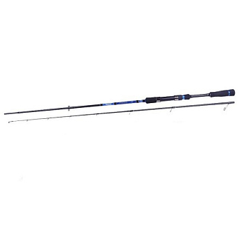 Спінінг Fishing Roi Sierra 1.98m 5-21g (615-5-198)