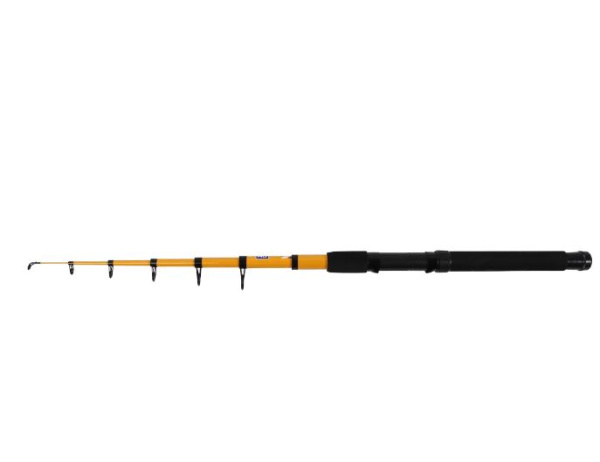Спінінг Zeox Element EC Tele