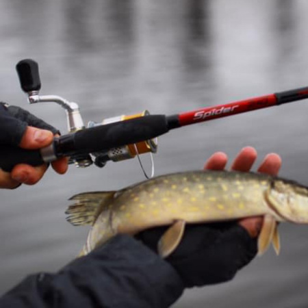 Спінінг Zemex Spider Z-10 762UL 1-6 g (8806066101482)