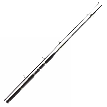 Спінінг Daiwa BG Boat 2.10m 150-400g (11906-216)
