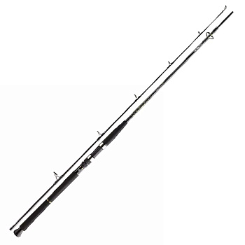 Спінінг Daiwa BG Boat 2.40m 150-400g (11906-246)